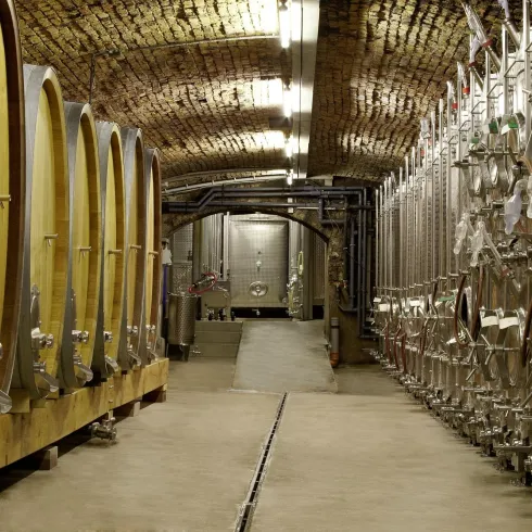 Weingut Reichsrat v. Buhl 1