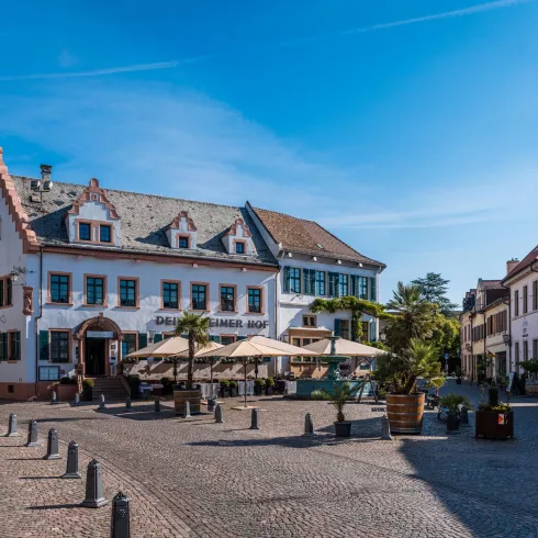 Deidesheimer Hof