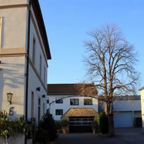 Ein hübsches Gebäude mit klassischer Architektur und großen Fenstern. Daneben steht ein weiteres historisches Gebäude, umgeben von Bäumen und gutem Wetter.