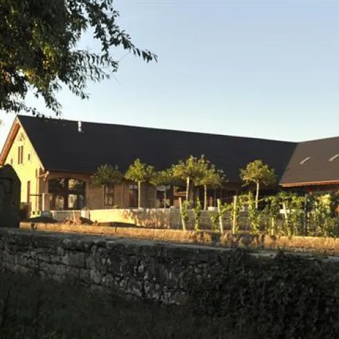 Eine malerische Weinfarm mit Traubenreben und einem hübschen, historischen Gebäude. Die sanfte Abendbeleuchtung schafft eine entspannte Atmosphäre.