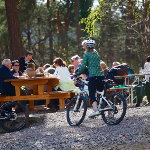 Ein Radfahrer fährt an einem Holzstoß vorbei, wo eine Gruppe von Menschen sitzt und sich unterhält. Die Szene spielt sich im Wald bei schönem Wetter ab.