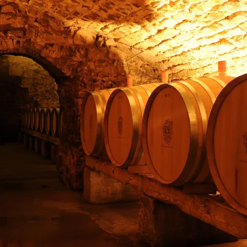 Ein Weinkeller mit großen Holzfässern, die auf einer Steinplattform stehen. Die Wände sind aus Naturstein und sanft beleuchtet.