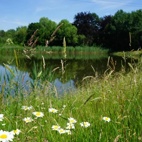 Angelweiher ASV Vogelbach