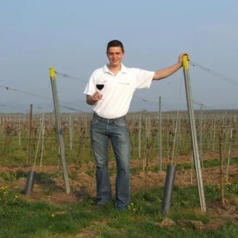Ein Mann steht in einem Weinberg und hält ein Glas Wein in der Hand. Die Reben erstrecken sich im Hintergrund unter einem klaren Himmel.