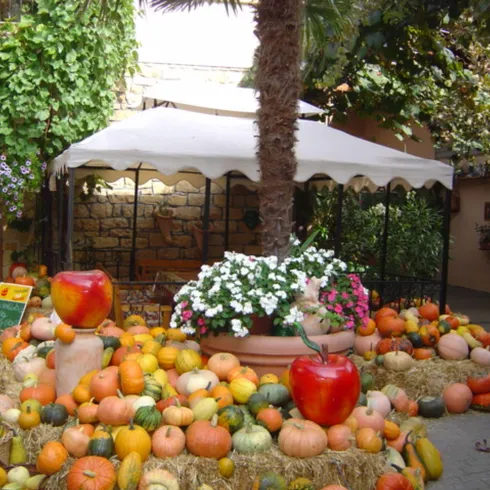 Ein hübscher Innenhof mit einer Vielzahl von Kürbissen und bunten Pflanzen. Ein weißer Pavillon mit einem schön dekorierten Bereich im Hintergrund.