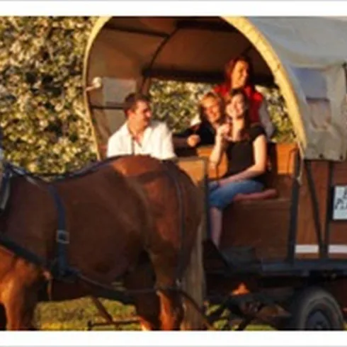 Planwagen mit 2 Pferden und Gästen