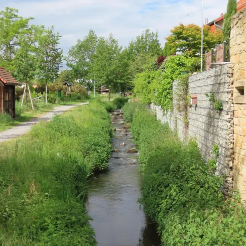 Bachlauf Isenach (© Urlaubsregion Freinsheim, Fr. Metzger)