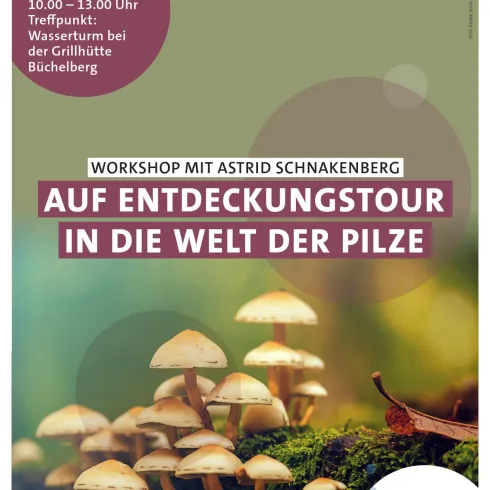 Ein Workshop über Pilze findet am 24. Oktober 2026 statt. Der Treffpunkt ist das Wasserturn bei der Grillhütte Büchelberg.