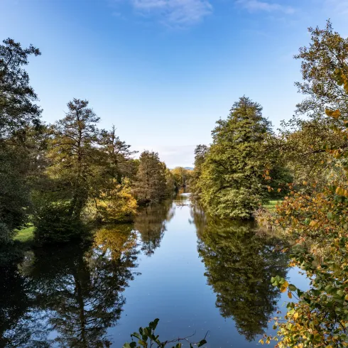Ein ruhiger Fluss fließt durch einen Wald mit bunten Bäumen. Der Himmel ist klar und blau.