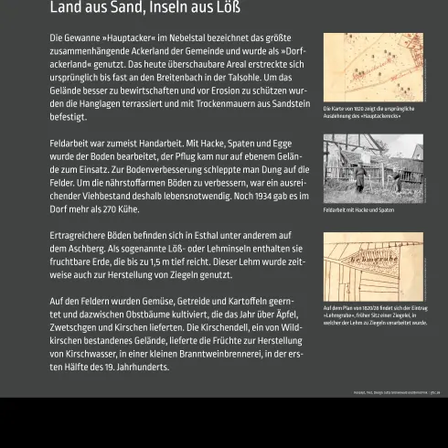 Eine Informationstafel, von der Audiotour Acht Uhr Läuten, mit Inhalten über ein Waldgebiet von Esthal. Es enthält Text und Bilder, die die Geschichte und Merkmale der Umgebung beschreiben.