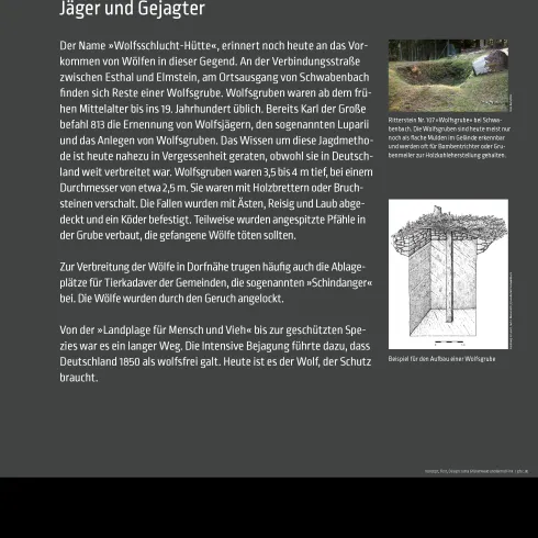 Ein Informationsschild über den Wolf (Canis lupus) mit Details zu seiner Rolle als Jäger und Gejagter. Das Schild gehört zur Audiotour "Acht Uhr Läuten" in Esthal.