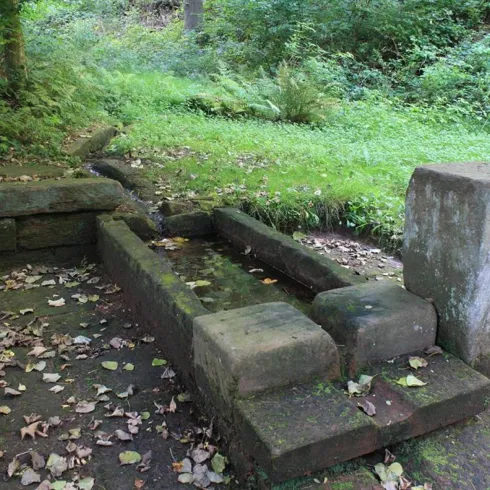 Eine alte Steinquelle inmitten einer grünen Waldlandschaft. Um die Quelle herum liegen einige herbstliche Blätter.