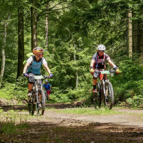 Zwei Radfahrer fahren auf einem Waldweg. Die Umgebung ist üppig grün und bietet eine idyllische Naturkulisse.