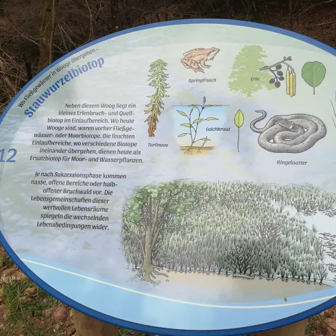 Ein Informationsschild über den Lebensraum des Flussufers. Es zeigt verschiedene Pflanzen und Tiere, die in diesem Ökosystem vorkommen.
