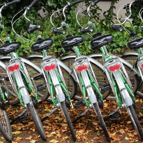Eine Reihe von grünen Fahrrädern steht in einer Reihe. Der Boden ist mit buntem Laub bedeckt.