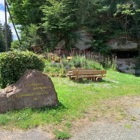 Speyerbachquelle-Picknickplatz