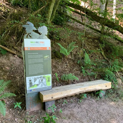 Ein Wegweiser mit einer Bank im Wald. Im Hintergrund sind Bäume und Pflanzen sichtbar.