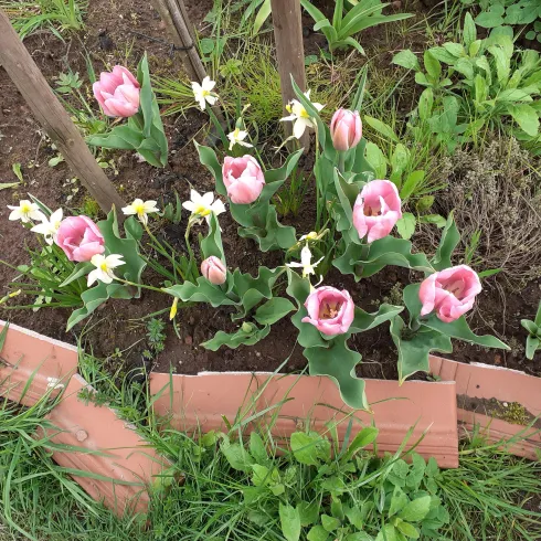 Weisheitsgeschichten