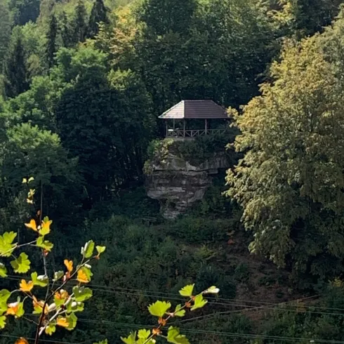 Ein Aussichtsplatz auf einem Felsen umgeben von dichten Bäumen. Im Hintergrund sind grüne Waldlandschaften zu sehen.