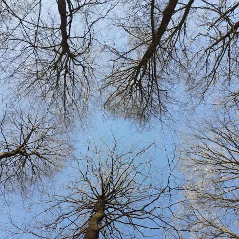 Rauhnacht Erzählabend