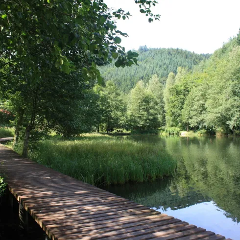 Helmbachweiher