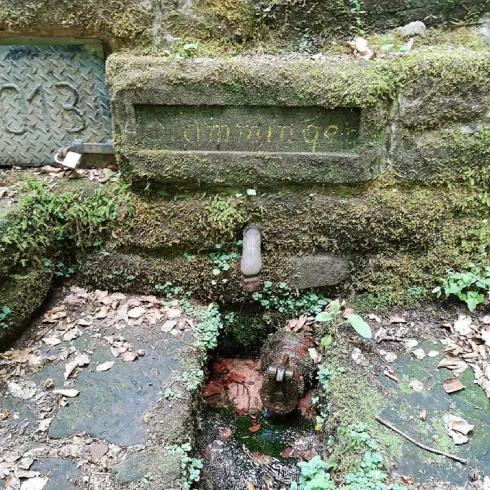 Ein alter Wasserbrunnen, umgeben von Moos und Pflanzen. Der Brunnen hat eine kleine Auslauföffnung und ist in eine steinerne Struktur eingebaut.