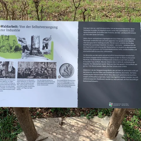 Informationstafel über die Holzernte und deren Wandel von der Selbstversorgung zur Industrie. Sie enthält Bilder und Text, die die Geschichte der Waldbewirtschaftung darstellen.