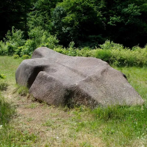 Ein großer, flacher Felsen liegt auf einer grünen Wiese. Umgeben von Bäumen und Sträuchern, ist die Szenerie ruhig und naturnah.