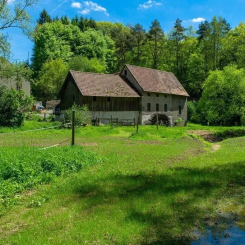 Ein idyllisches Landhaus umgeben von üppigem Grün und Bäumen. Der Himmel ist klar und blau, was eine friedliche Atmosphäre schafft.