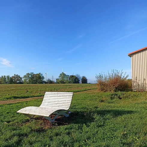 Eine entspannte Liege steht auf einer grünen Wiese unter einem klaren blauen Himmel. Im Hintergrund sind Bäume und ein Gebäude zu sehen.
