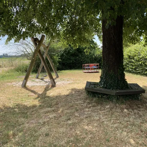 Ein Spielplatz im Freien mit einer Schaukel und einem großen Baum. Die Wiese ist grün und es gibt viel Platz zum Spielen.