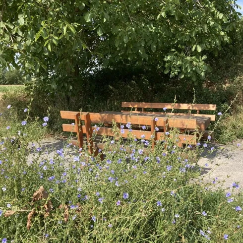 Rastplatz Freckenfeld