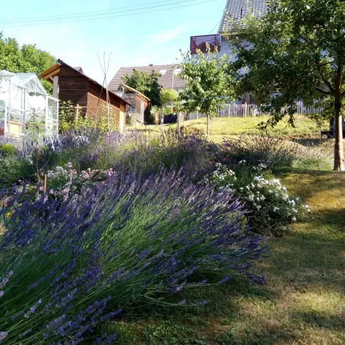 Garten