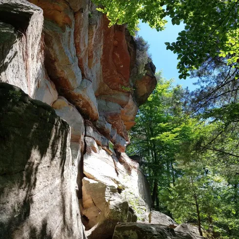 Eine beeindruckende Felswand aus Buntsandstein, umgeben von üppigem Grün und Wand. Der klare Himmel sorgt für eine helle, einladende Atmosphäre.