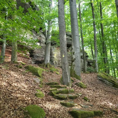 Alter Postweg an den Hubertusfelsen