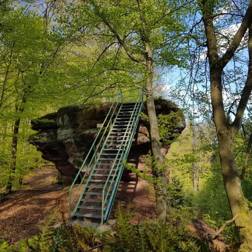 Aussichtspunkt Hoher Fels