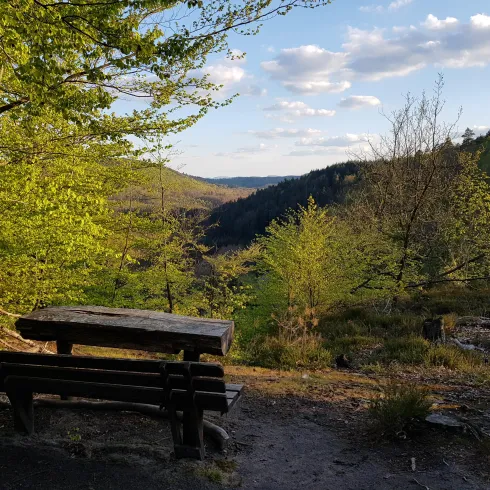 Aussichtspunkt Rastplatz Burgblick