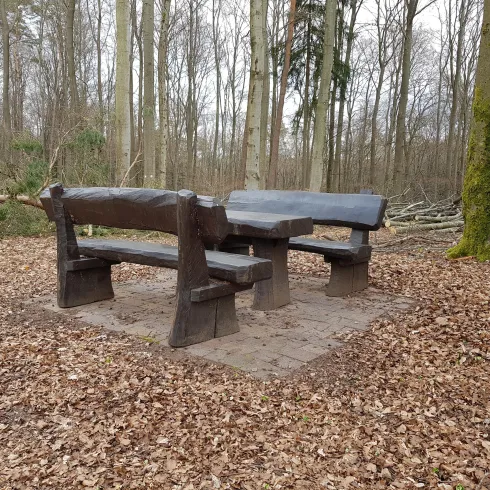 Ein rustikaler Holztisch mit Bänken steht im Wald auf einem mit Blättern bedeckten Boden. Die Umgebung ist ruhig und von Bäumen umgeben.