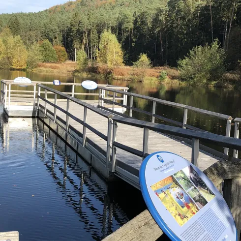 Steg am Klosterweiher (© Tourist-Information Dahner Felsenland)