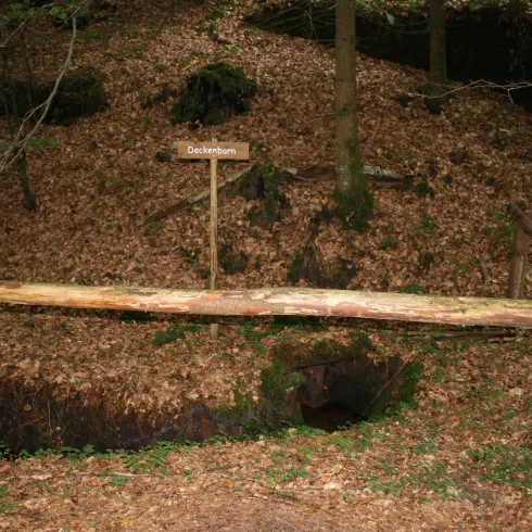 Ein Waldgebiet mit vielen Blättern auf dem Boden. Ein Holzgeländer schützt einen kleinen Abgrund, der durch ein Schild angezeigt wird.