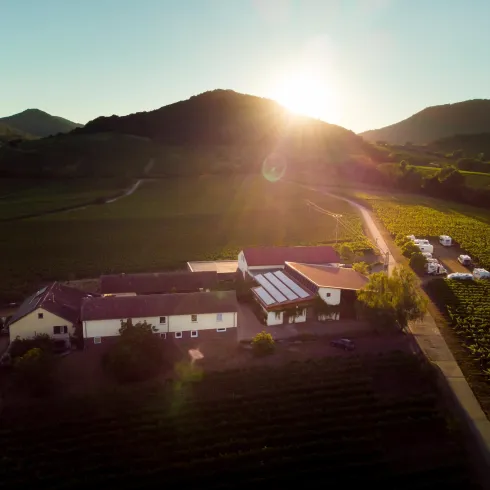 Ein malerisches Weingut bei Sonnenuntergang, umgeben von sanften Hügeln. Reben erstrecken sich über die Landschaft, während das Licht des Sonnenuntergangs das Szenario beleuchtet.