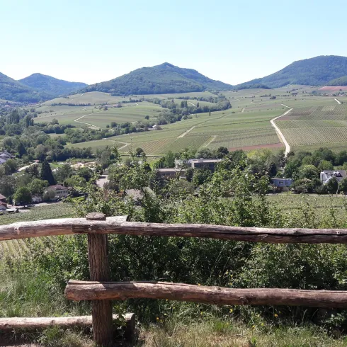 Eine malerische Landschaft mit sanften Hügeln und weitläufigen Feldern. Im Vordergrund ist ein Holzgeländer sichtbar.
