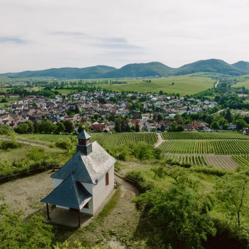 Ilbesheimer Kirchberg