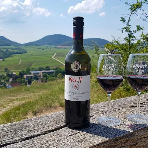 Weingut Bosch Ilbesheim