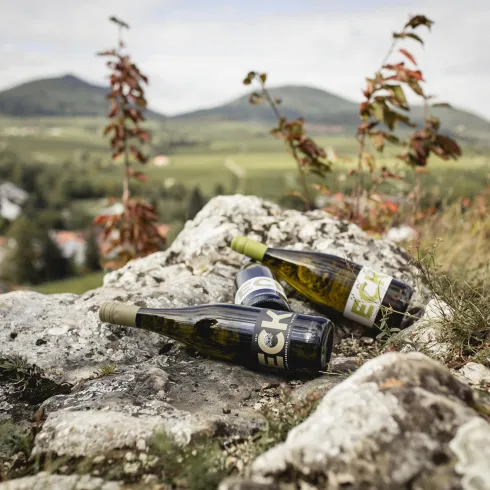 Zwei Weinflaschen liegen auf einem Stein in einer malerischen Landschaft. Im Hintergrund sind sanfte Hügel und eine kleine Stadt zu sehen.