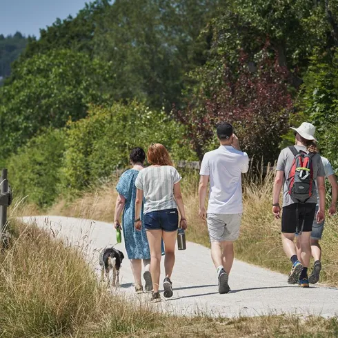 Eine Gruppe von vier Personen und einem Hund spaziert auf einem Weg umgeben von Natur. Der Himmel ist klar und die Sonne scheint.