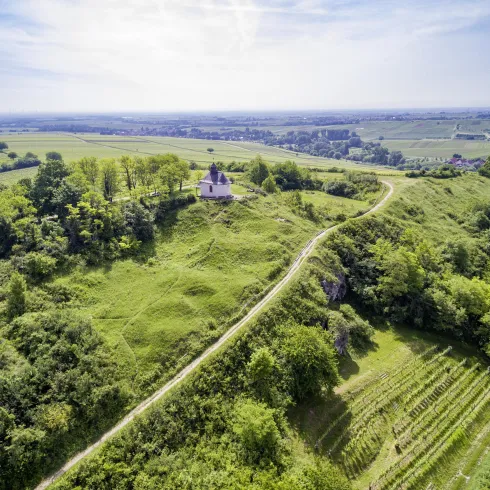 Luftaufnahme Kleine Kalmit