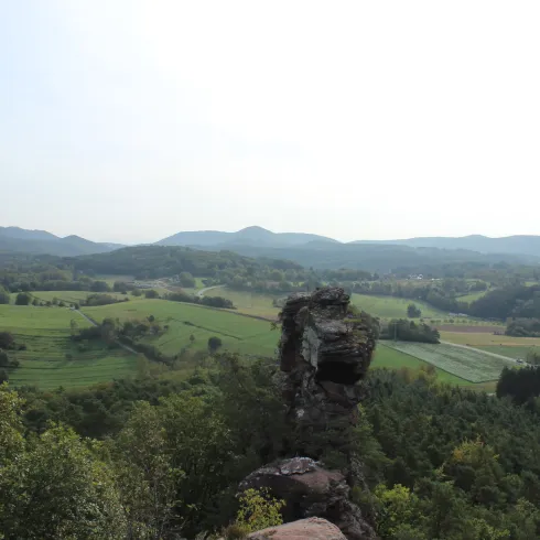 Eine beeindruckende Landschaft mit sanften Hügeln und dichten Wäldern. Im Vordergrund steht ein großer Felsen, der über das grüne Tal blickt.