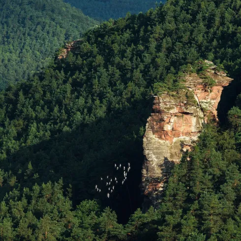 Friedrichsfelsen "Luger Fritz" (© Stephanie Ser)