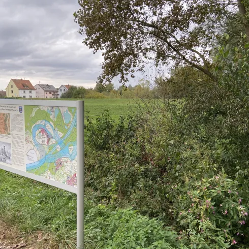 Infotafel - Straße Rheinfähre